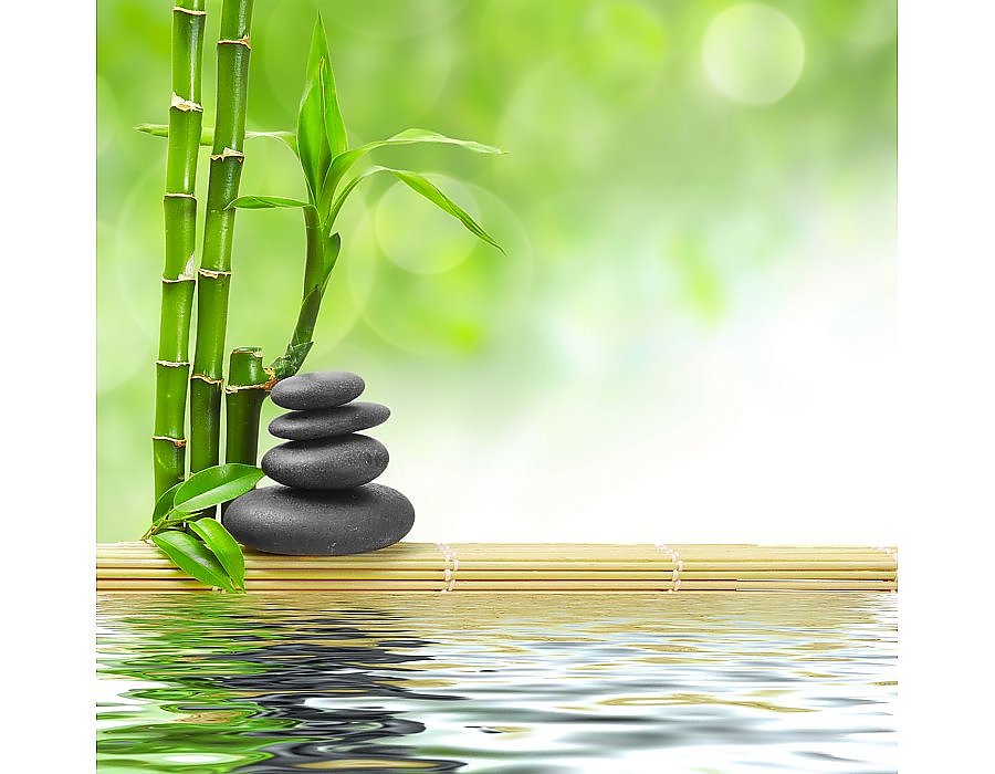 Bambu en agua con piedras